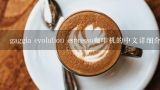 gaggia evolution espresso咖啡机的中文详细介绍和价格,咖啡机：推荐一款家用手动Espresso机，性能第一，价位5000左右