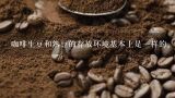 咖啡生豆和熟豆的存放环境基本上是一样的。,一斤生咖啡豆烘焙出来多少两熟豆？