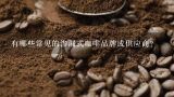 有哪些常见的渗漏式咖啡品牌或供应商？