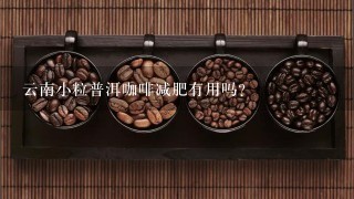 云南小粒普洱咖啡减肥有用吗？