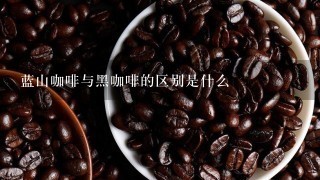 蓝山咖啡与黑咖啡的区别是什么