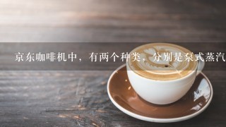 京东咖啡机中，有两个种类，分别是泵式蒸汽和高压蒸