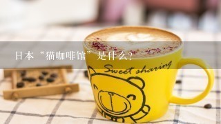 日本“猫咖啡馆”是什么？