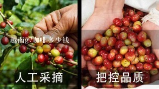 越南g7咖啡多少钱