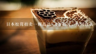 日本松茸拍卖一颗高达<br/>9、6万日元，为何这么一颗松茸