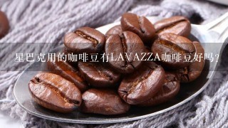 星巴克用的咖啡豆有LAVAZZA咖啡豆好吗？