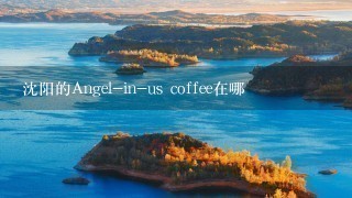 沈阳的Angel-in-us coffee在哪