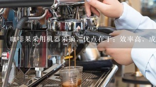 咖啡果采用机器采摘，优点在于：效率高，成本低，采摘出来的咖啡品质高。