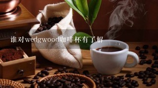 谁对wedgwood咖啡杯有了解
