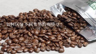 如何区分不同类型的咖啡豆？