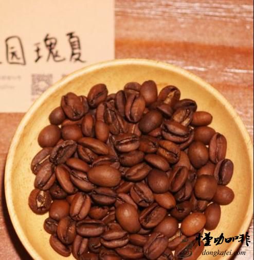 巴拿马极光庄园瑰夏咖啡豆咖啡豆